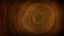 Detailed Warm Dark Brown And Orange Tones Of A Felled Tree Trunk Or Stump. Rough Organic Texture Of Tree Rings With Close Up Of End Grain.