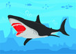 Shark ilustration vector