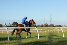 Thoroughbred Racehorses Training On A Horse Track In Preperation For An International Horse Race On An Early Morning, Friday 18th Of October 2019, Melbourne, Victoria