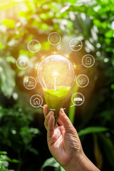 hand holding light bulb against nature, icons energy sources for renewable
