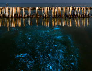 A beautiful scene of illuminate bioluminescent plankton glow blue fluorescent in night sea water at Red Bridge (Saphan Daeng) , Samut Sakhon near Bangkok Thailand.