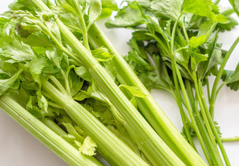 celery stalks on white background. fresh green celery. 