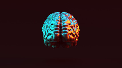 Wall Mural - Silver Human brain Anatomical with Red Orange and Blue Green Moody 80s lighting Front 3d illustration 3d render