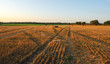 Beautiful sunset view of haystacks on farm field