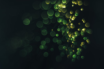 Poster - Beautiful abstract optical fiber green cold bokeh in the darkness background.