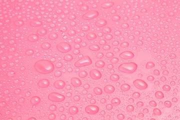 Wall Mural - Close up water drops on pink background, Water drop in macro photography