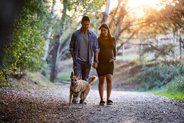 Happy pregnant couple looking their dog while walking in the park.