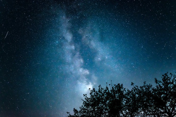 Wall Mural - night starry sky against the background of the milky way and trees.