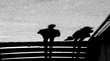 Blurry shadow silhouette of a man and woman at city public stairs