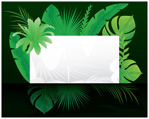 Wall Mural - white card with many leaves vector design