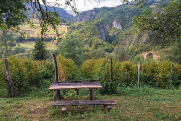 Sticker - Raspberries field in mountains of Zlatibor area in Serbia