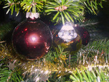 Fototapeta Sypialnia - Dekoration eines Weihnachtsbaums.