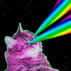 big pink monster cat flies in deep space and shoots rainbow lasers from eyes. art collage concept of