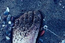 Foot Full Of Beach Land Surrounded By Shells And Plastic
