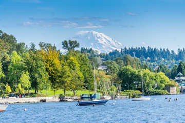 Wall Mural - Renton_Park_Lake_Shoreline_3