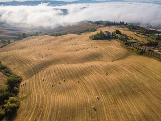 Wall Mural - Aerial summer rural landscape of Tuscany