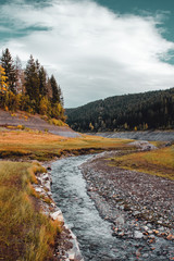 Wall Mural - Colorful autumn tones of a mountain river bed in the valley with forest on a sunny dramatic day. Okertalsperre, Harz National Park in Germany