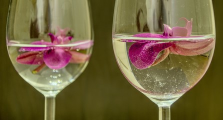 Magenta orchid flowers swimming in glasses 2