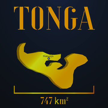 Tonga golden solid country outline silhouette, realistic piece of world map template, for infographic, vector illustration, isolated object, background. From countries set