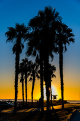 Wall Mural - sunset on the beach