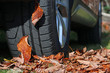 Im Herbst kann Laub auf der Straße gefährlich für Autos sein