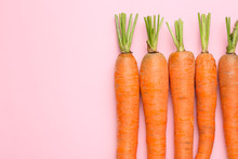 Fresh Carrots On Color Background