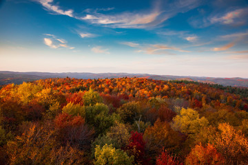 autumn landscape with yellow field and blue sky