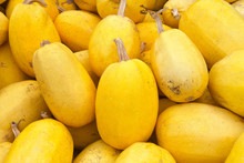 Close Up On Pile Of Spaghetti Squash Freshly Picked From The Field.This Oval Yellow Squash Contains A Surprise: A Stringy Flesh That, When Cooked, Separates Into Mild-tasting, Spaghetti-like Strands.