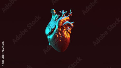 Cuadros en Lienzo Silver Anatomical Heart with Red Orange and Blue Green Moody 80s lighting Front