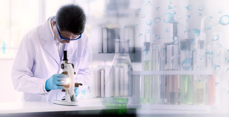 Wall Mural - laboratory concept: scientist researching by microscopy technique with blurred picture of glassware 