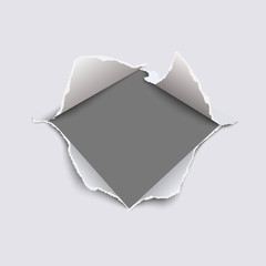 Wall Mural - snatched middle of white paper with torn edges, soft shadow and space for text, ad or other aims. da