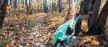 Garbage In The Forest On Fallen Leaves. Environmental Contamination. Purity Of Nature.