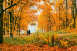 © svetlanais - Fall season in forest. Unrecognizable couple walking together in the autumn park