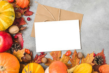 Thanksgiving Or Autumn Background. Blank Greeting Card With Pumpkins, Fallen Leaves, Dry Flowers, Berries And Nuts