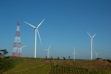 wind turbine in the farm