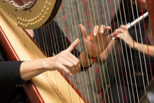 Harp Player Female Musician, Hand Detail