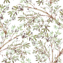 Olive Branch Seamless Pattern In Watercolor Style Isolated On White Background. Botanical Illustration. Mediterranean Nature Plant Wallpaper, Textile Print.