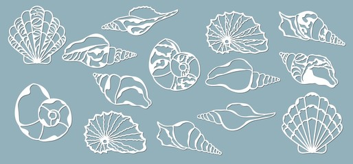 Wall Mural - Shells of the sea. Laser cutting. Craft paper for decoration. Plotter, screen printing.