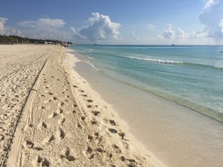 beach and sea