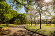 © FBarbuy - PARQUE DO IBIRAPUERA - SÃO PAULO