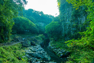 Wall Mural - waterfall in forest, Takachiho, Miyazaki