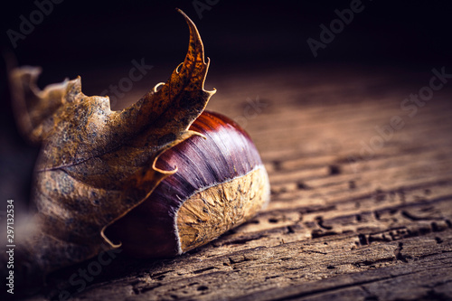 Fotomural fresh chestnut harvest - still life