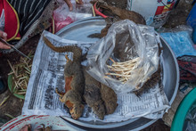 Wild Animals On A Local Market Of Laos 