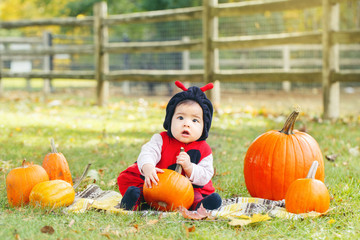 Wall Mural - Portrait of cute adorable funny Asian Chinese baby girl in ladybug costume sitting in autumn fall park outdoor with yellow orange pumpkins. Halloween or Thanksgiving seasonal concept.