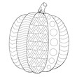 Pumpkin coloring page for painting vector illustration for children and adults