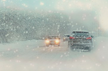 Wall Mural - Car lights in winter forest