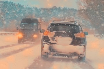 Wall Mural - Car lights in winter forest