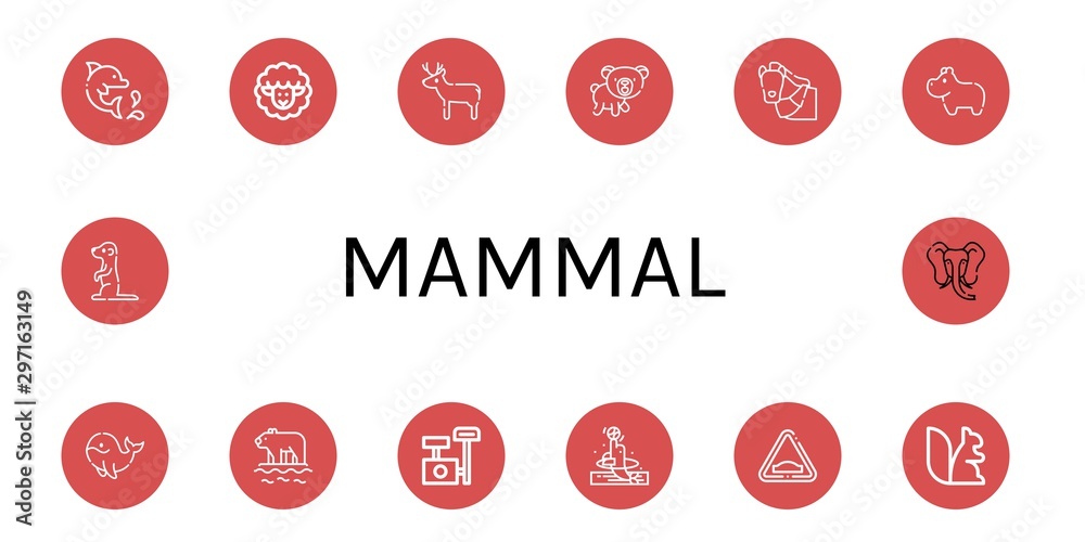 Set of mammal icons such as Dolphin, Lamb, Deer, Bear, Horse ...