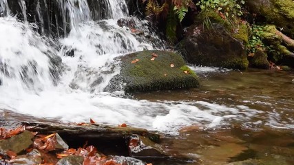 Sticker - Close-up of a waterfall in a autumn forest