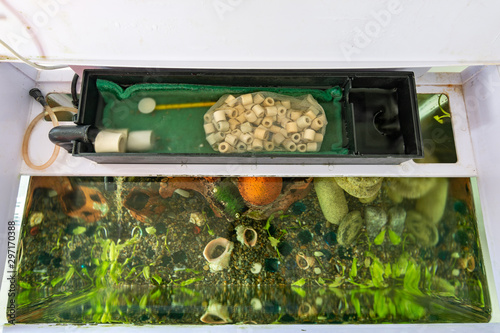 Fotomural Remote filter system in the aquarium, under the aquarium cover
